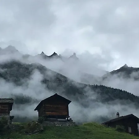 Aletschblick Grachen
